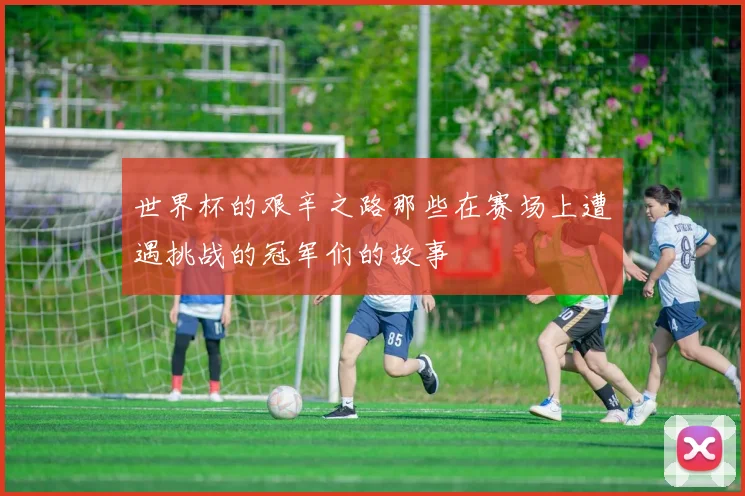 世界杯的艰辛之路那些在赛场上遭遇挑战的冠军们的故事